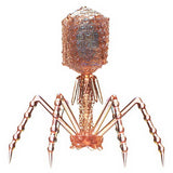 Science Technicolour T4 Phage Rainbow Pearl Mascot & Ball Chain [3.T4 phage (Clear pink)]