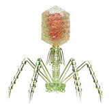 Science Technicolour T4 Phage Rainbow Pearl Mascot & Ball Chain [4.T4 phage (Clear green)]
