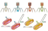Science Technicolour T4 Phage Rainbow Pearl Mascot & Ball Chain [All 8 type set(Full Complete)]