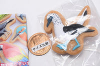 Art Unib Technicolour Bird icing cookie figure magnet [6.Blue-footed Booby]