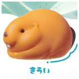 Pukkako Beaver [2.Kiwi]