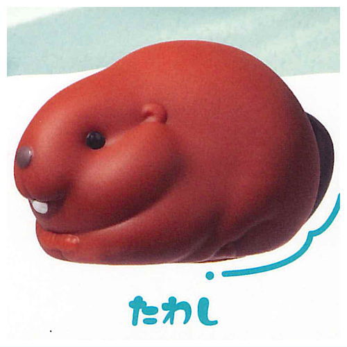 Pukkako Beaver [3.Tawashi]