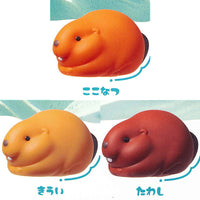 Pukkako Beaver [All 3 type set(Full Complete)]