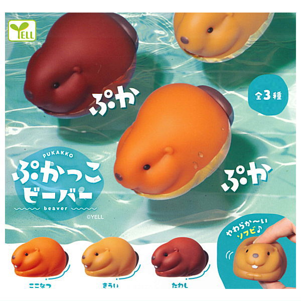 Pukkako Beaver [All 3 type set(Full Complete)]