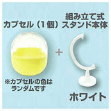 Capsule ga sonomama display ni naru mini [3.White]