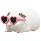 Guinea pig wearing sunglasses [2.Heart]