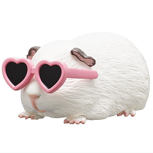 Guinea pig wearing sunglasses [2.Heart]