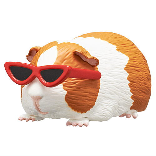 Guinea pig wearing sunglasses [3.Cat's Eye]