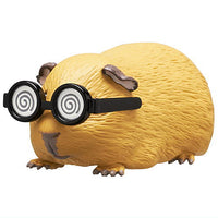 Guinea pig wearing sunglasses [4.Uzumaki]