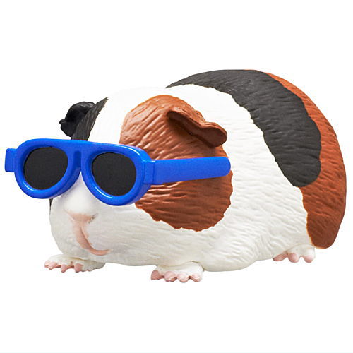 Guinea pig wearing sunglasses [5.Teardrop]