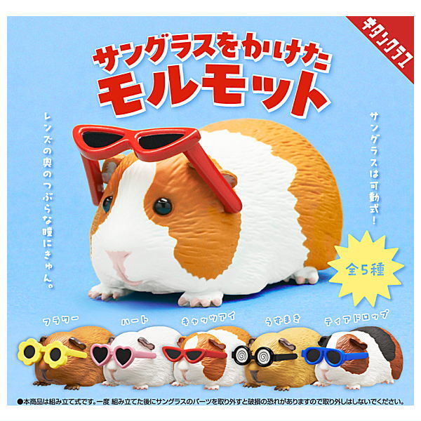 Guinea pig wearing sunglasses [All 5 type set(Full Complete)]