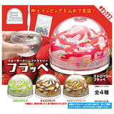 Water Dome Factory Frappe [All 4 type set(Full Complete)]
