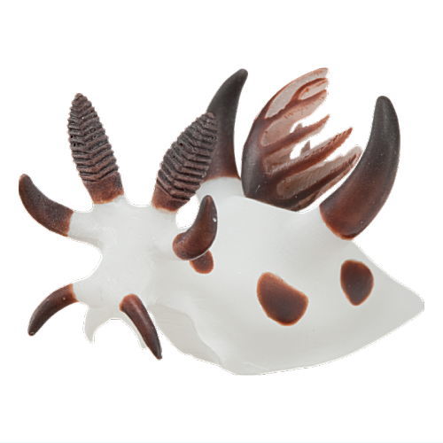 Nature Techni Color MONO PLUS Sea Slug Figure Magnet [4.Panda horn sea slug]
