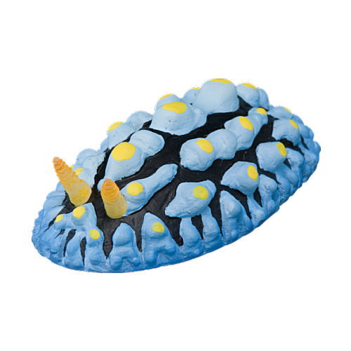 Nature Techni Color MONO PLUS Sea Slug Figure Magnet [6.Sorairoibo sea slug]