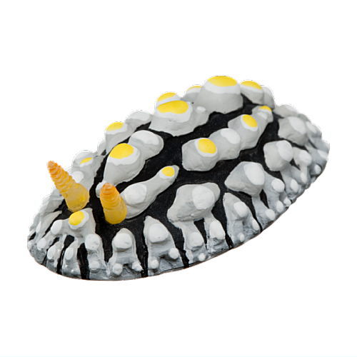Nature Techni Color MONO PLUS Sea Slug Figure Magnet [7.Tsunokiubo sea slug]