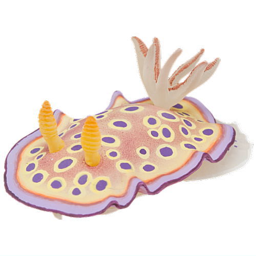 Nature Techni Color MONO PLUS Sea Slug Figure Magnet [8.Otohime sea slug]