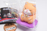 Higemanju Ozabuniseiza Figure Part.3 [5.Mitarashi]