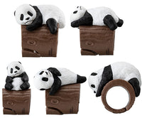 Mejirushi Marker Kinouedegorogoro Baby Panda [All 5 type set(Full Complete)]