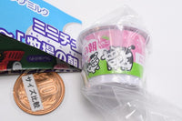 Snow Brand Megmilk miniature charm Bokujonoasa Collection [1.Bokujonoasa Yogurt (single item)]