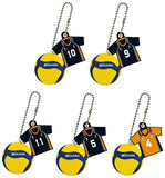 Haikyu!! x MIKASA Volleyball & Uniform Double Swing [All 5 type set(Full Complete)]