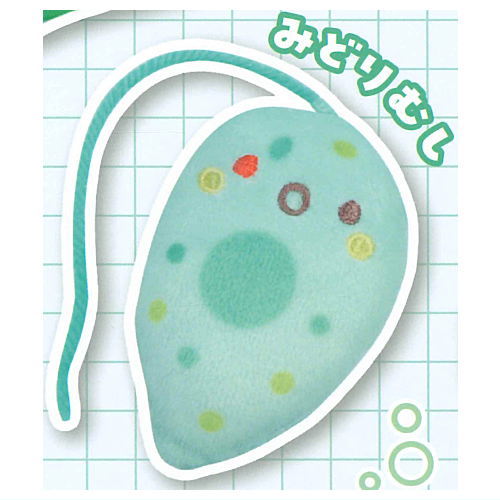 Ulnui Microorganism-chan [4.Euglena]