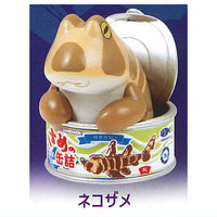 Canned Shark Mascot Figure [6.Japanese bullhead shark]