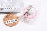 Kokodayo Mascot Friends of Snow Country [4.Seal]