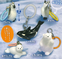 Kokodayo Mascot Friends of Snow Country [All 5 type set(Full Complete)]