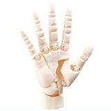 ARTIST SUPPORT ITEM COLLABORATION 1/2 Hand Model/R [2.PALE ORANGE]
