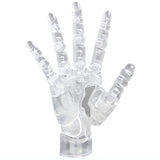 ARTIST SUPPORT ITEM COLLABORATION 1/2 Hand Model/R [4.CLEAR]