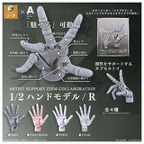 ARTIST SUPPORT ITEM COLLABORATION 1/2 Hand Model/R [All 4 type set(Full Complete)]