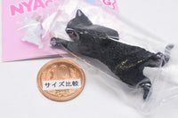 NYAoooo!!2 [2.Black Cat]