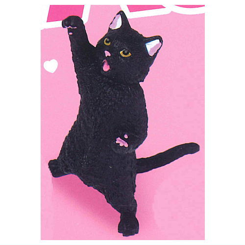 NYAoooo!!2 [2.Black Cat]