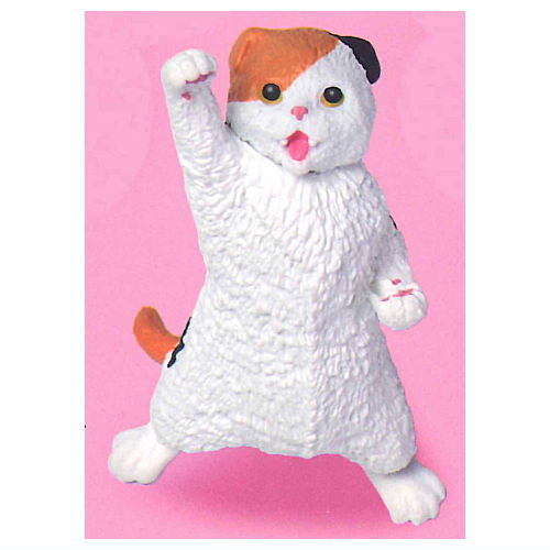 NYAoooo!!2 [3.Scottish Fold]