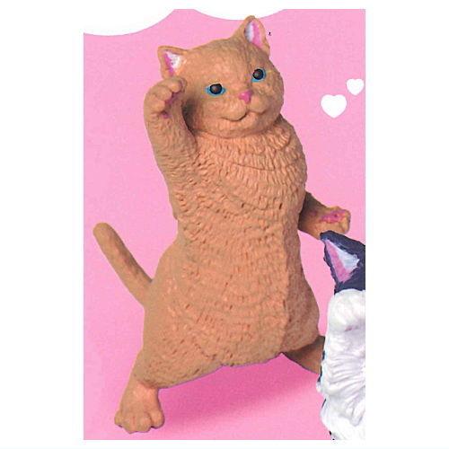 NYAoooo!!2 [4.British Shorthair]
