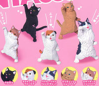 NYAoooo!!2 [All 5 type set(Full Complete)]