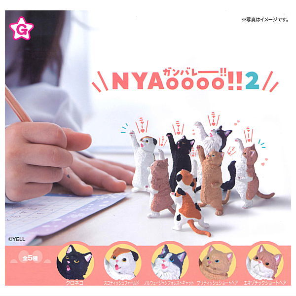 NYAoooo!!2 [All 5 type set(Full Complete)]