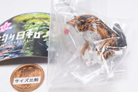 Tsuribiyori Nekotachino himatsubushi [1.Norwegian Forest Cat]