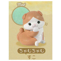Uchinokono ichinichi Towel blanket daisuki [1.Suko (chamuchamu)]