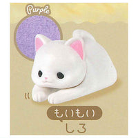 Uchinokono ichinichi Towel blanket daisuki [4.White (moimoi)]