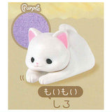 Uchinokono ichinichi Towel blanket daisuki [4.White (moimoi)]