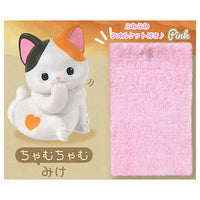 Uchinokono ichinichi Towel blanket daisuki [5.Mike (chamuchamu)]