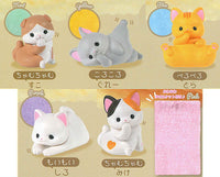 Uchinokono ichinichi Towel blanket daisuki [All 5 type set(Full Complete)]