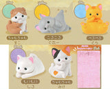 Uchinokono ichinichi Towel blanket daisuki [All 5 type set(Full Complete)]