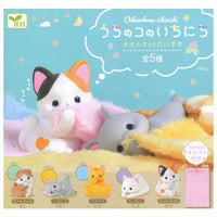 Uchinokono ichinichi Towel blanket daisuki [All 5 type set(Full Complete)]