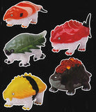 Animal attraction pseudo-creature writer Kumakoro no Sushinigirisu Vol.1 [All 5 type set(Full Complete)]
