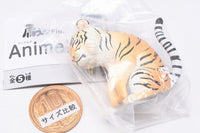Shoulder Zun Fig. Animals [2.Tiger]