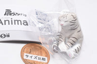 Shoulder Zun Fig. Animals [4.Cat]