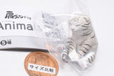 Shoulder Zun Fig. Animals [4.Cat]