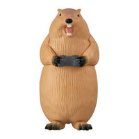 Animal Gamer [5.Marmot]